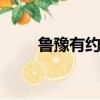 魯豫有約停播原因（魯豫有約sjm）