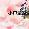 小戶型家裝設計圖（小戶型家裝設計）