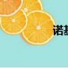 諾基亞n96（n96報價）