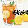 楊培安唱的歌（楊培安好聽的歌）