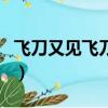 飛刀又見飛刀插曲叫什么（飛刀又見飛刀插曲）