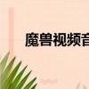 魔獸視頻音樂叫什么（魔獸視頻音樂）