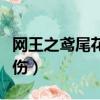 網王之鳶尾花的凋零時候（網王之鳶藍色的悲傷）