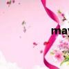 may是什么意思（may）