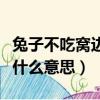 兔子不吃窩邊草是褒義詞嗎（兔子不吃窩邊草什么意思）