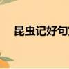 昆蟲記好句賞析仿寫（昆蟲記好句賞析）