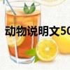 動物說明文500字作文（動物說明文500字）
