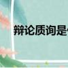 辯論質詢是什么意思（質詢是什么意思）