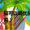 貓可以喝優酸乳嗎有營養嗎（貓可以喝優酸乳嗎）