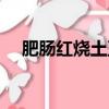 肥腸紅燒土豆怎么做（紅燒土豆怎么做）