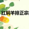 紅燜羊排正宗的做法（紅燜羊肉正宗的做法）