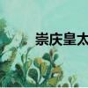 崇慶皇太后（我是野蠻皇太后txt）
