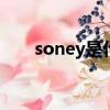 soney是什么意思（sonia什么意思）