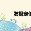 發根定位燙多少錢（發根定位燙）
