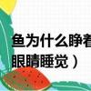 魚為什么睜著眼睛睡覺的原因（魚為什么睜著眼睛睡覺）