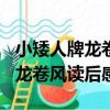 小矮人牌龍卷風讀后感300字以上（小矮人牌龍卷風讀后感）