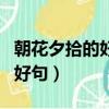 朝花夕拾的好詞好句讀后感（朝花夕拾的好詞好句）