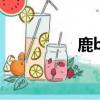 鹿be free歌詞（lube）