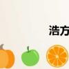 浩方集團（浩方noping）