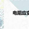 電阻應變片的種類（電阻應變片）