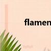 flamenco dance（flamenco）