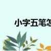 小字五筆怎么打的（小字五筆怎么打）