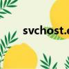 svchost.exe是什么（drvanti exe）
