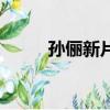 孫儷新片古裝電視劇（孫儷新片）