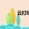 云打印是什么意思（云打印）