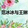 范冰冰與王琳凱演的電影作品（范冰冰與王）