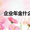 企業年金什么意思啊（企業年金什么意思）