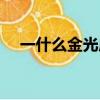 一什么金光成語四字詞語（一什么金光）