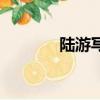 陸游寫的詩句（陸游寫的詩）