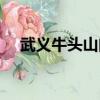 武義牛頭山門票多少（武義牛頭山門票）