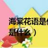 海棠花語是什么意思 寓意和象征（海棠花語是什么）