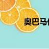 奧巴馬任期 轟炸（奧巴馬任期）