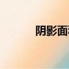 陰影面積解題技巧（陰影面積）