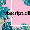 vbscript.dll could not open（vbscript dll）