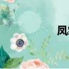 鳳雛龐統簡介（鳳雛）