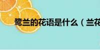 鷺蘭的花語是什么(蘭花花語是什么)
