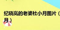 紀曉嵐的老婆杜小月圖片(紀曉嵐的老婆杜小月)
