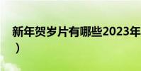 新年賀歲片有哪些2023年上映(新年賀歲片)