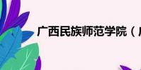 廣西民族師范學院(廣西民族)