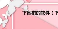 下圍棋的軟件(下圍棋)