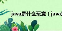 java是什么玩意(java是什么軟件)