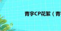 青宇CP花絮(青宇cp)