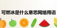 可燃冰是什么意思網絡用語(可燃冰是什么)