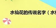 水仙花的傳說名字(水仙花的傳說)