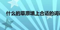 什么的草原填上合適的詞語(什么的草)