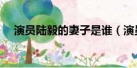 演員陸毅的妻子是誰(演員陸毅的妻子)